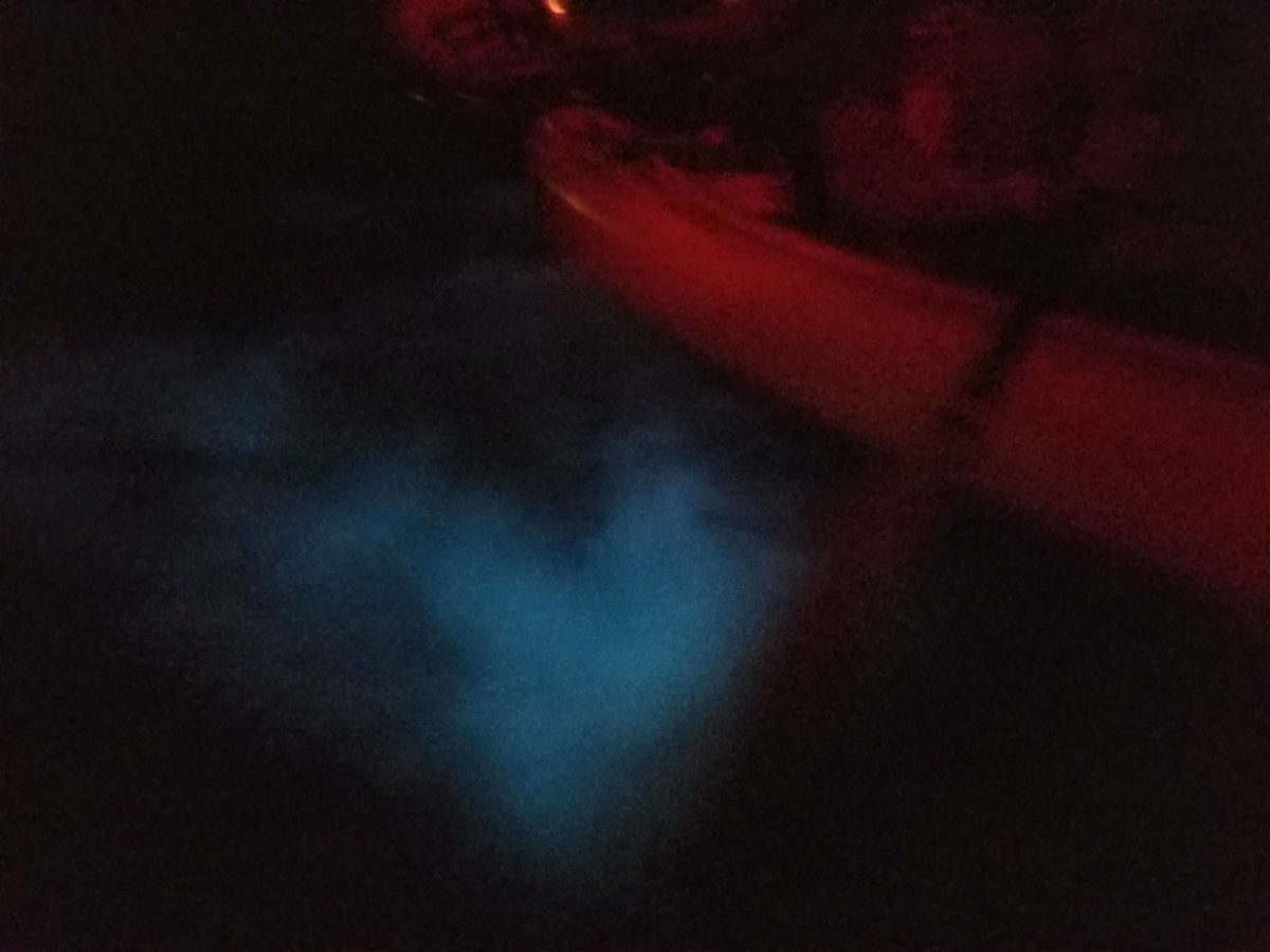 Bioluminescent Kayaking & Rafting - Florida's Best Bioluminescence