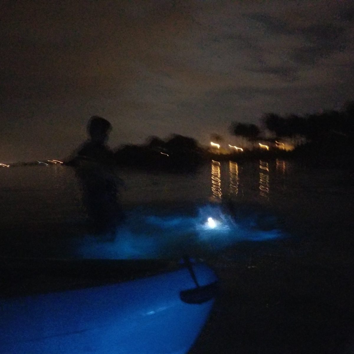 Rafting Bioluminescence Tour - Family Friendly Night Tour