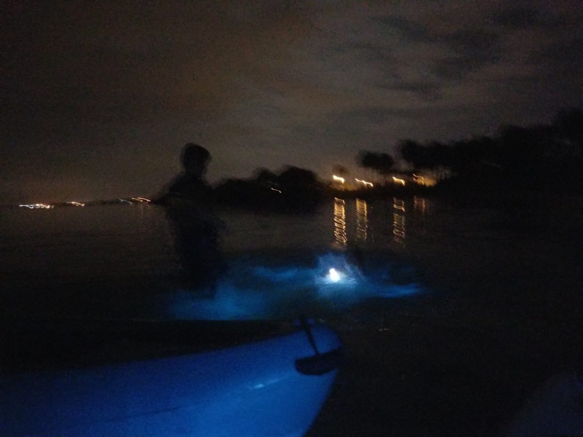 Rafting Bioluminescence Tour - Family Friendly Night Tour