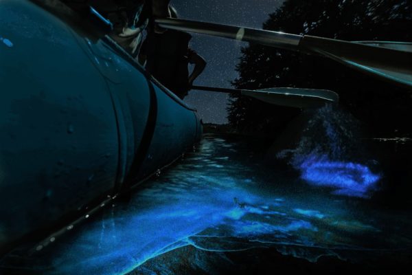 Bioluminescent Kayaking & Rafting - Florida's Best Bioluminescence Tours