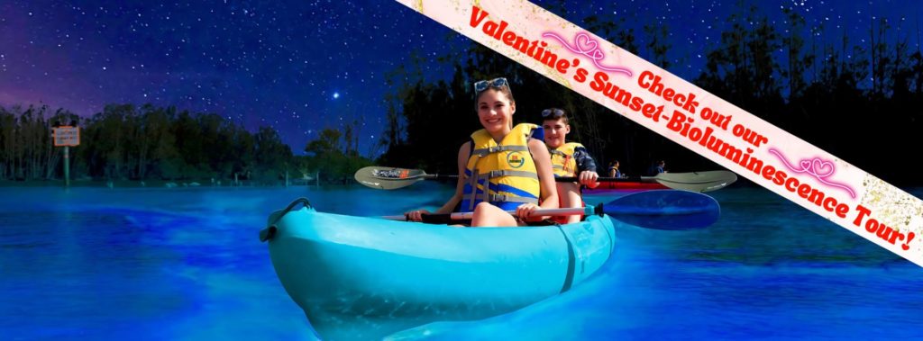 Bioluminescence Tours for Valentines Day Florida