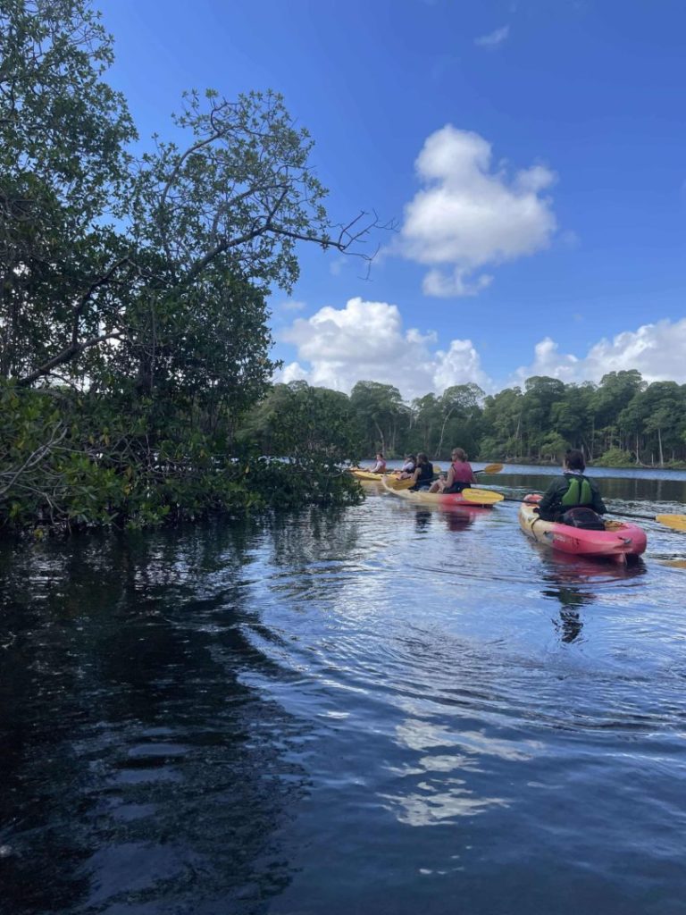 Miami kayaking tour Oleta River