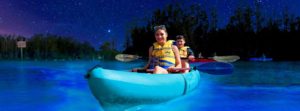 Two people in Florida doing Bioluminescence kayaking.