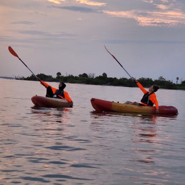 BK Adventure Bioluminescence Kayaking Near Orlando, Florida