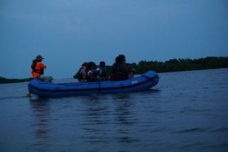 BK Adventure Bioluminescence Kayaking Near Orlando, Florida